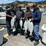 Tuatagaloa Brothers halibut