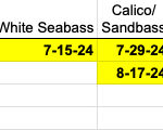 BFC as of 8-20-24