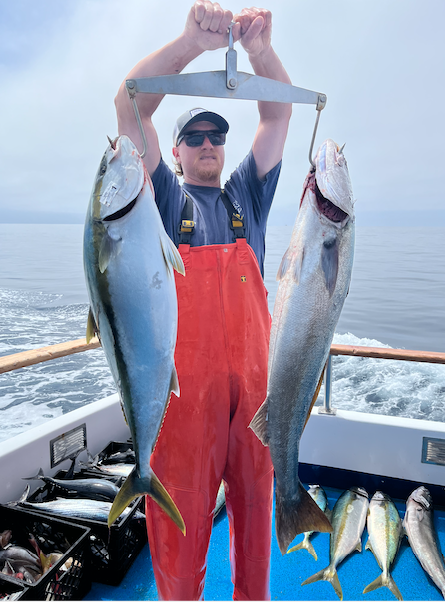 229 Yellowtail Fishing Stock Photos - Free & Royalty-Free Stock