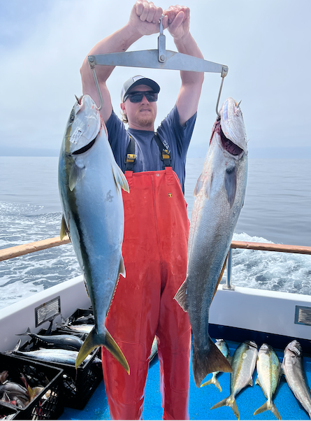 Yo-Yo'ing Iron for Yellowtail (jack family of fish off Southern