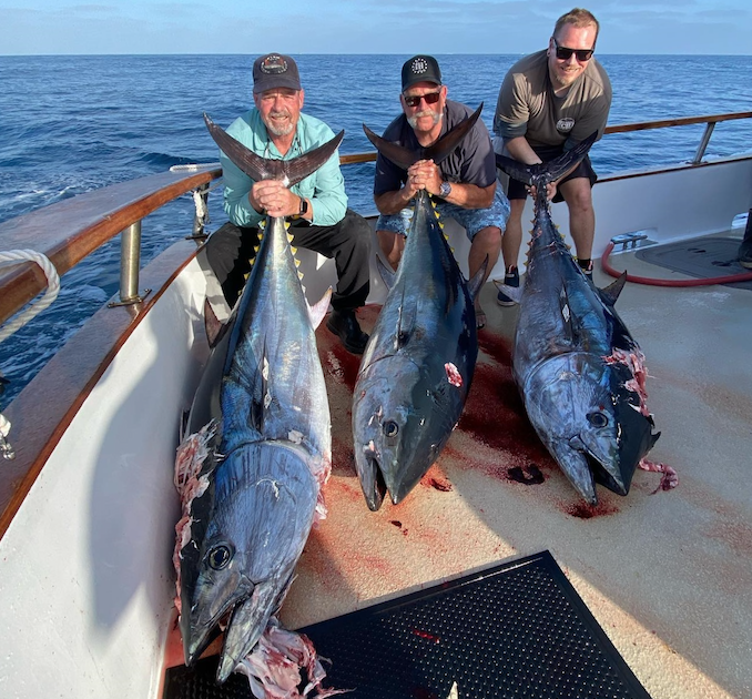 Bluefin Tuna Fishing THREE MILES FROM SHORE! - Fishing Oceanside Harbor in  San Diego 