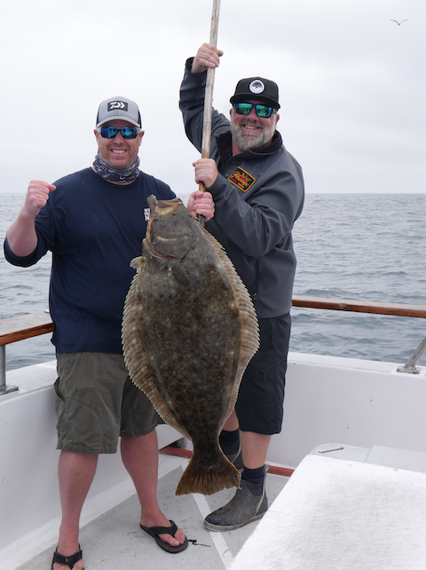 Sight Casting for Halibut: Hali's Jumping Out of the Water!