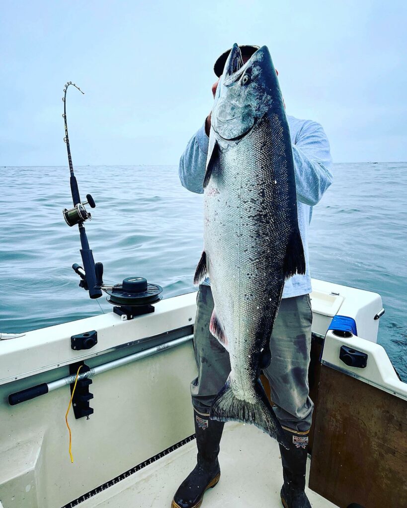 Point Loma San Diego Spotted Bay Bass Fishing Spree