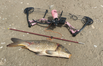 Carp Busting: Quality Gear is Key to Your Best Bowfishing - Game & Fish