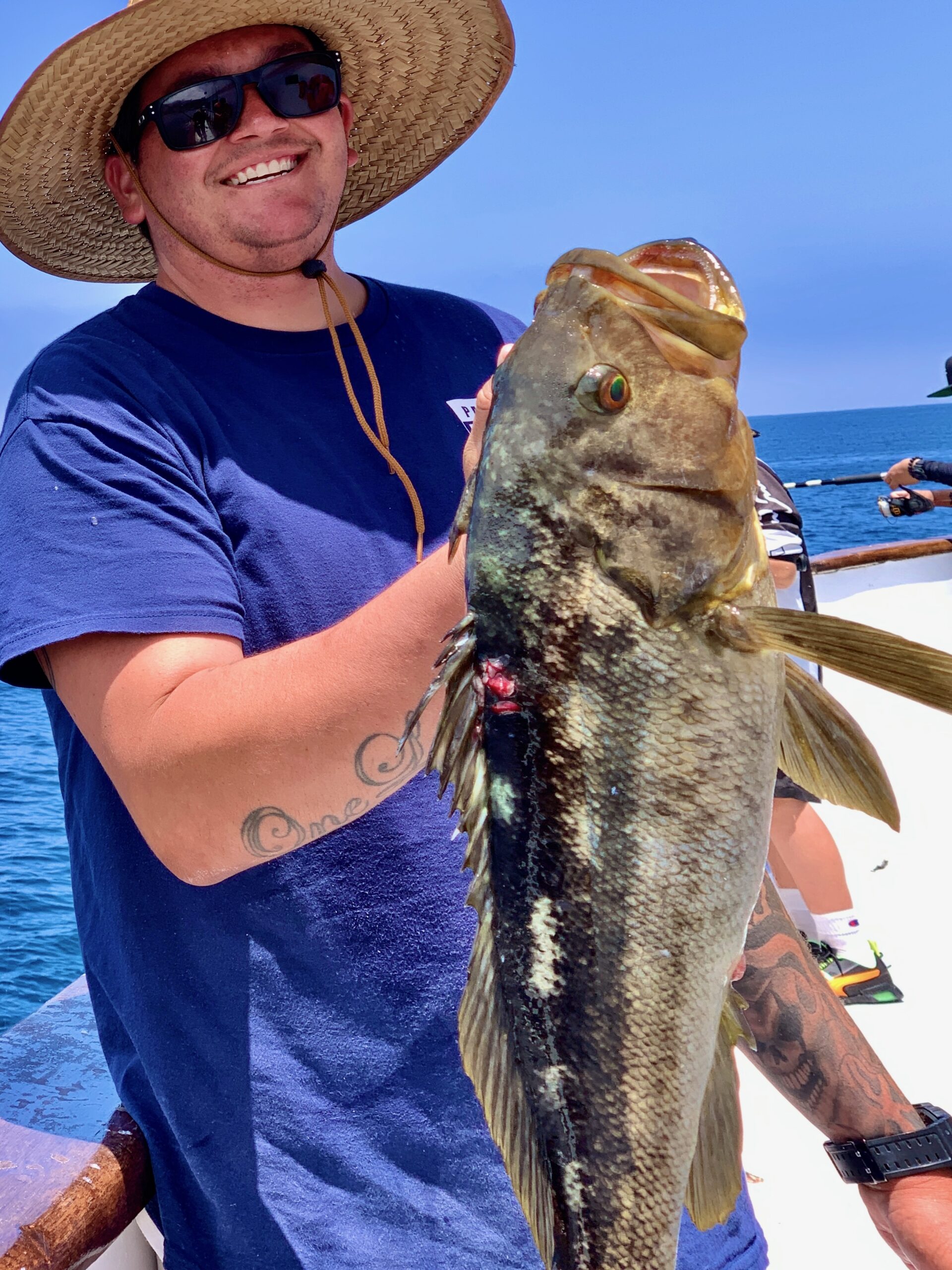 Calico bass fishing – how to establish patterns