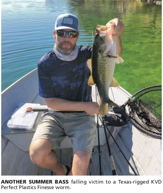 Spring Bass Fishing Success: Senkos, Wacky Rigs & Grass Flipping