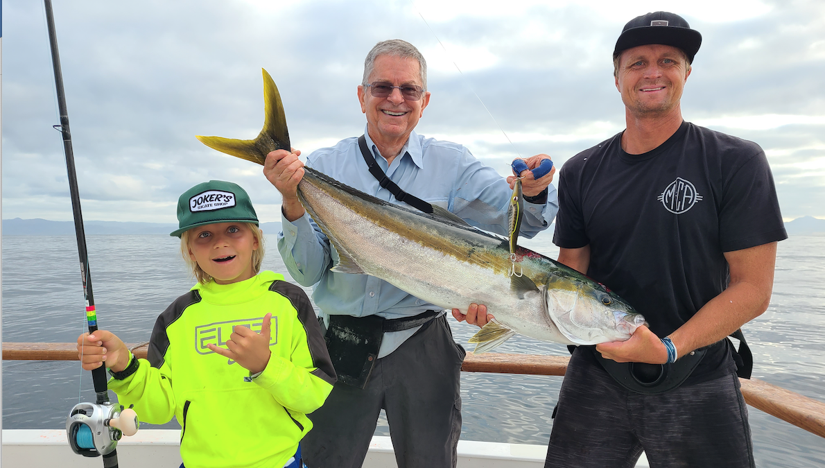 Sportfishing – Tackle, tactics, tips & baits for successful Yellowtail  fishing
