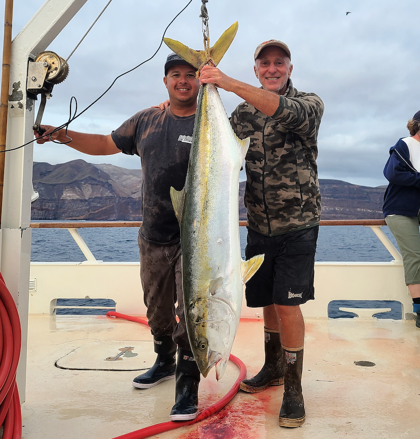 Sportfishing – Tackle, tactics, tips & baits for successful Yellowtail  fishing