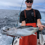 North Coast albacore