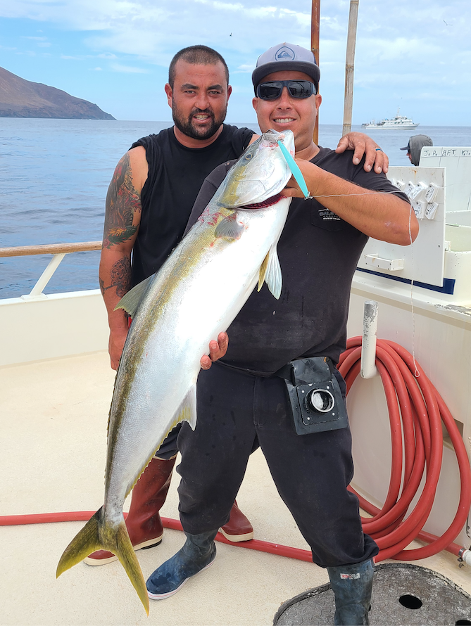 Yo Yo Jig for Yellowtail  How To Catch More Fish - Davey's World