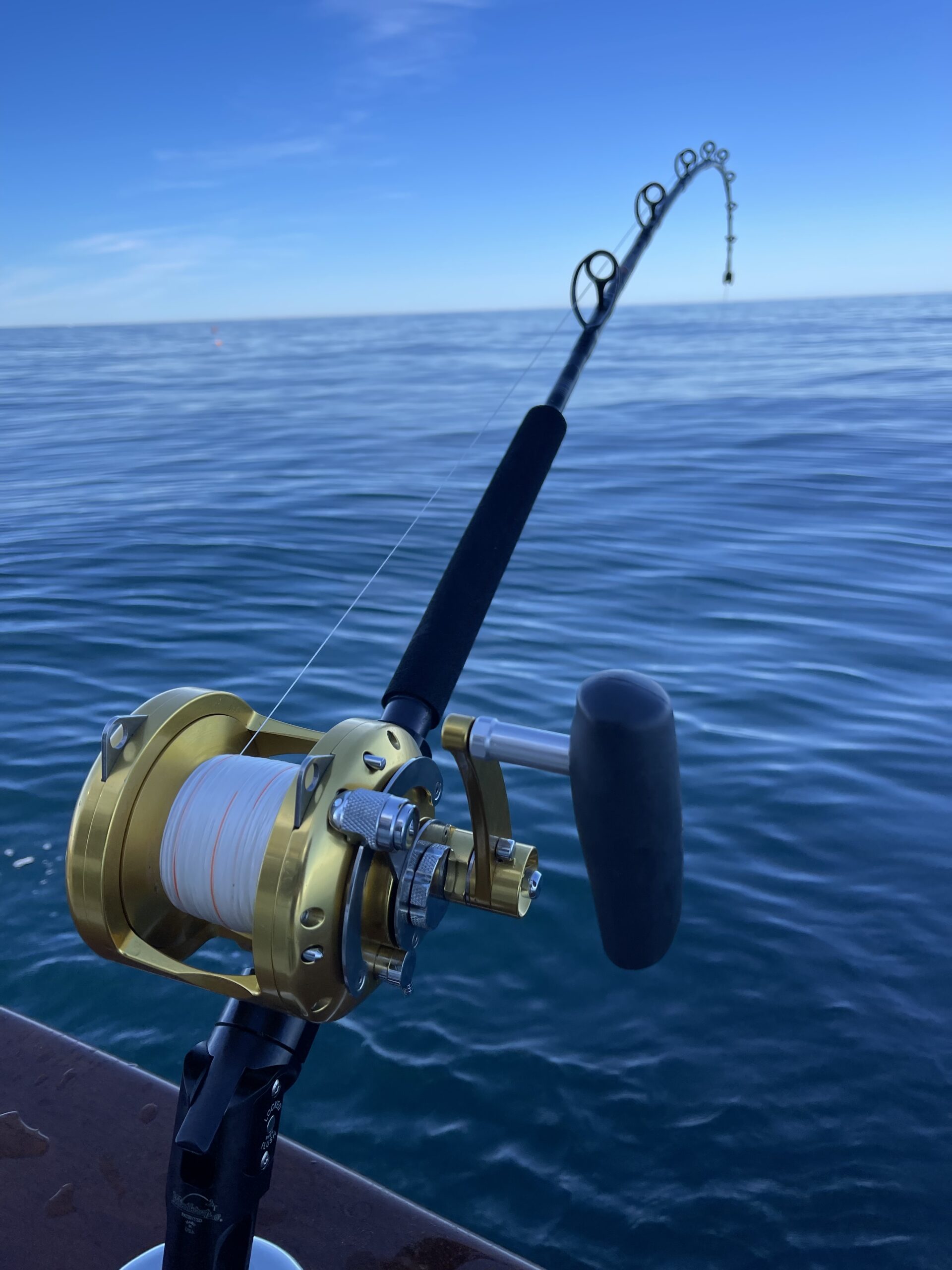 Swordfish Tackle, tactics and baits for SoCal swordfishing (5 great