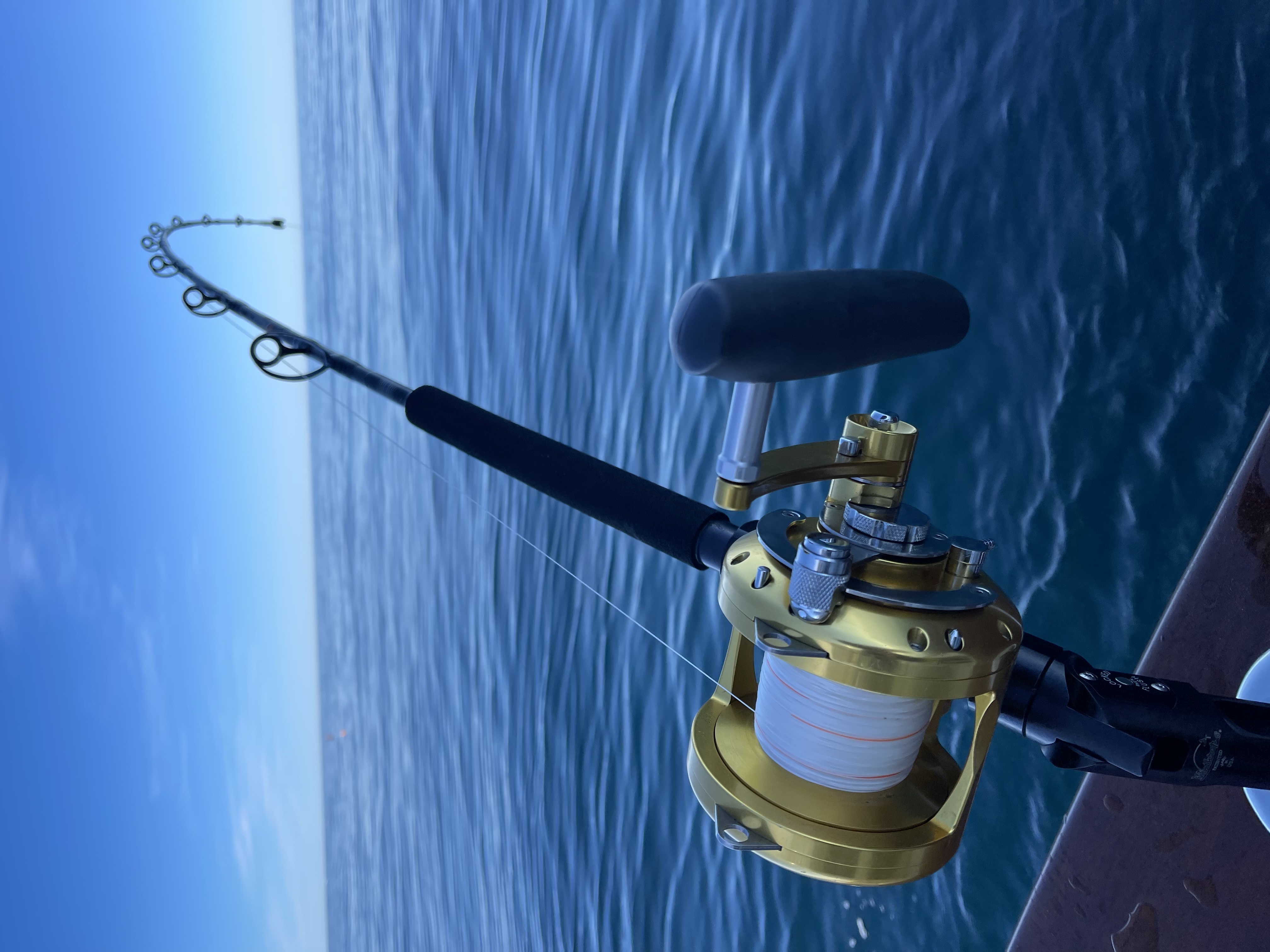 Swordfish – Tackle, tactics and baits for SoCal swordfishing (5