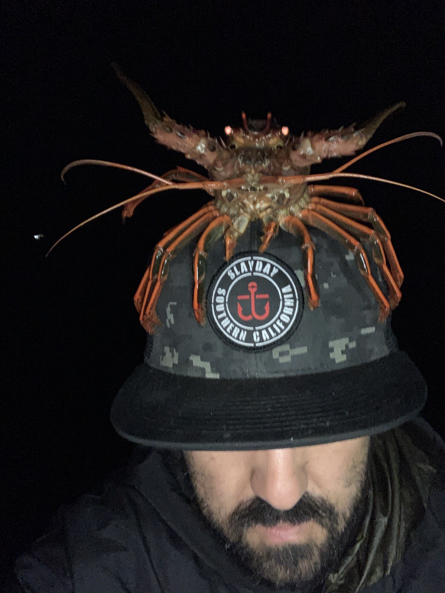 Lobster season – 5 steps to start lobster fishing for the first time  (rules, equipment, tips etc for Oct 1st opener)