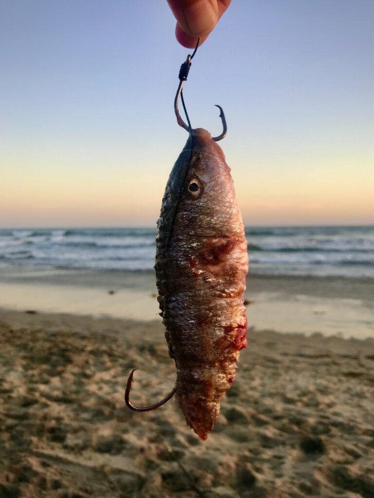 TEN (10) HERITAGE DOUBLE SALMON HOOKS / CODE:BG 12 / SIZE 2