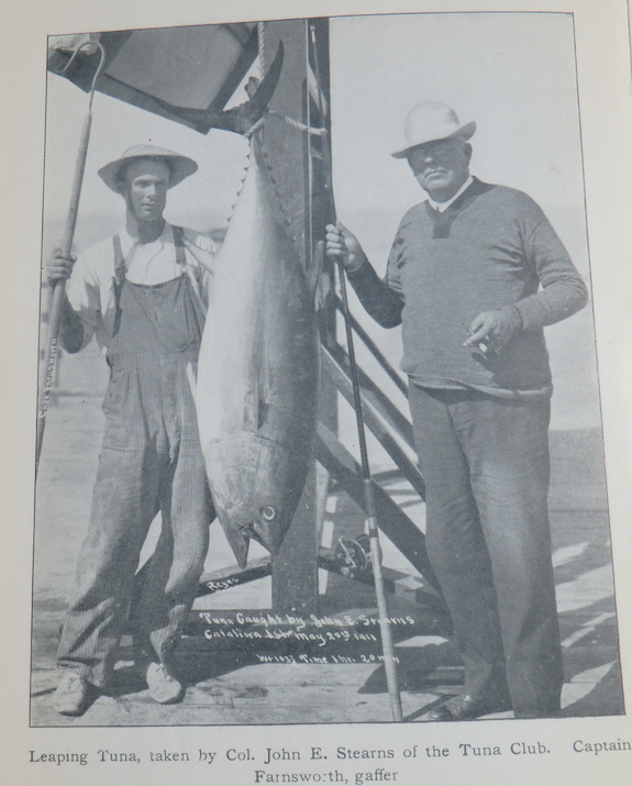 Sportfishing – The history of Catalina Pottery jigs and bluefin tuna fishing  (past and present)