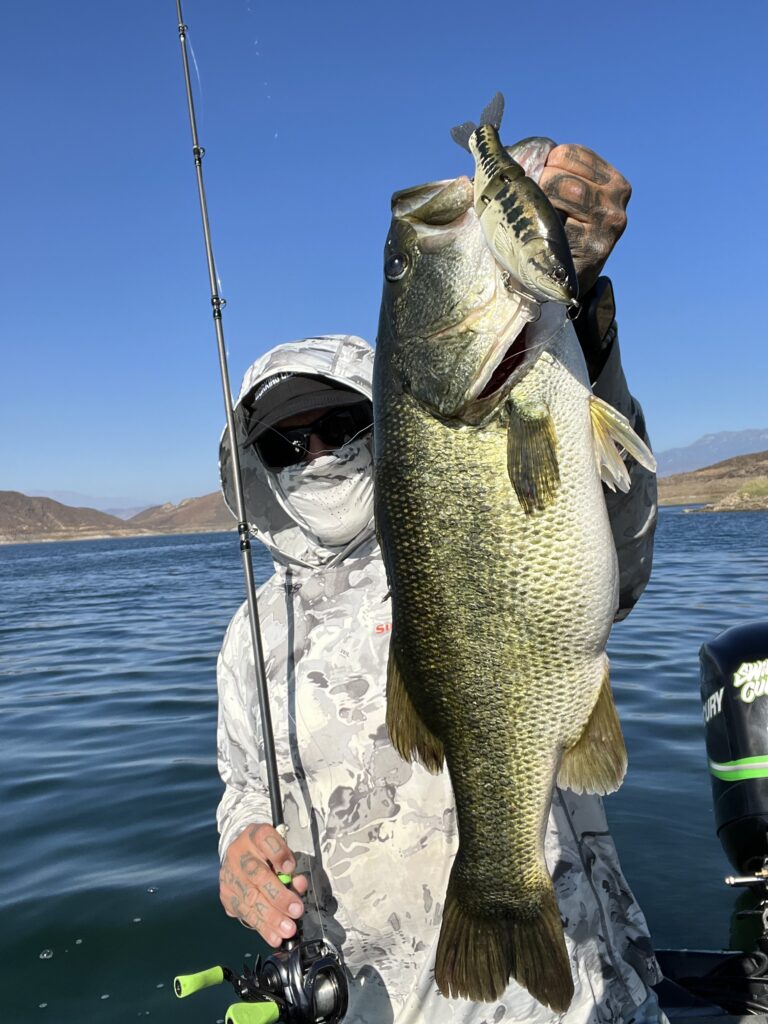 A lot of fish hanging perch caught by angler Fish Stringer on the  background of evening sunset on the lake and fishing rods spinning on a  chair. Photos