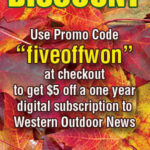 Digital-Discount-Fall-2022-300×600