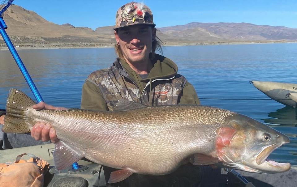 Angler catches and releases 31 lb. Lahontan cutthroat at Pyramid Lake