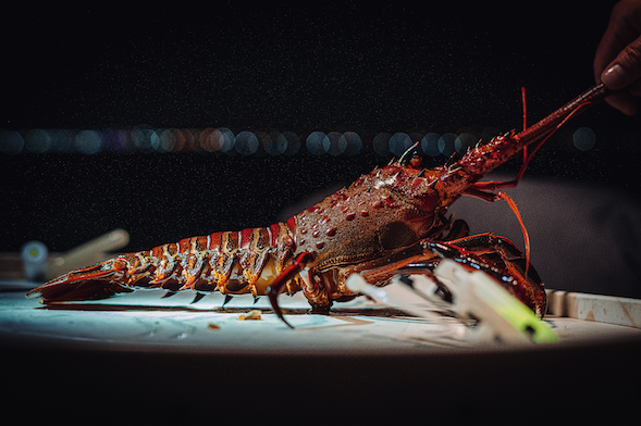 Locals shell out for rock lobster to help keep fleet fishing