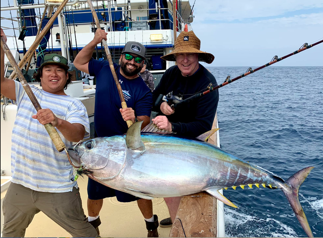 Saltwater – Intrepid steams north, crushes albacore rather than