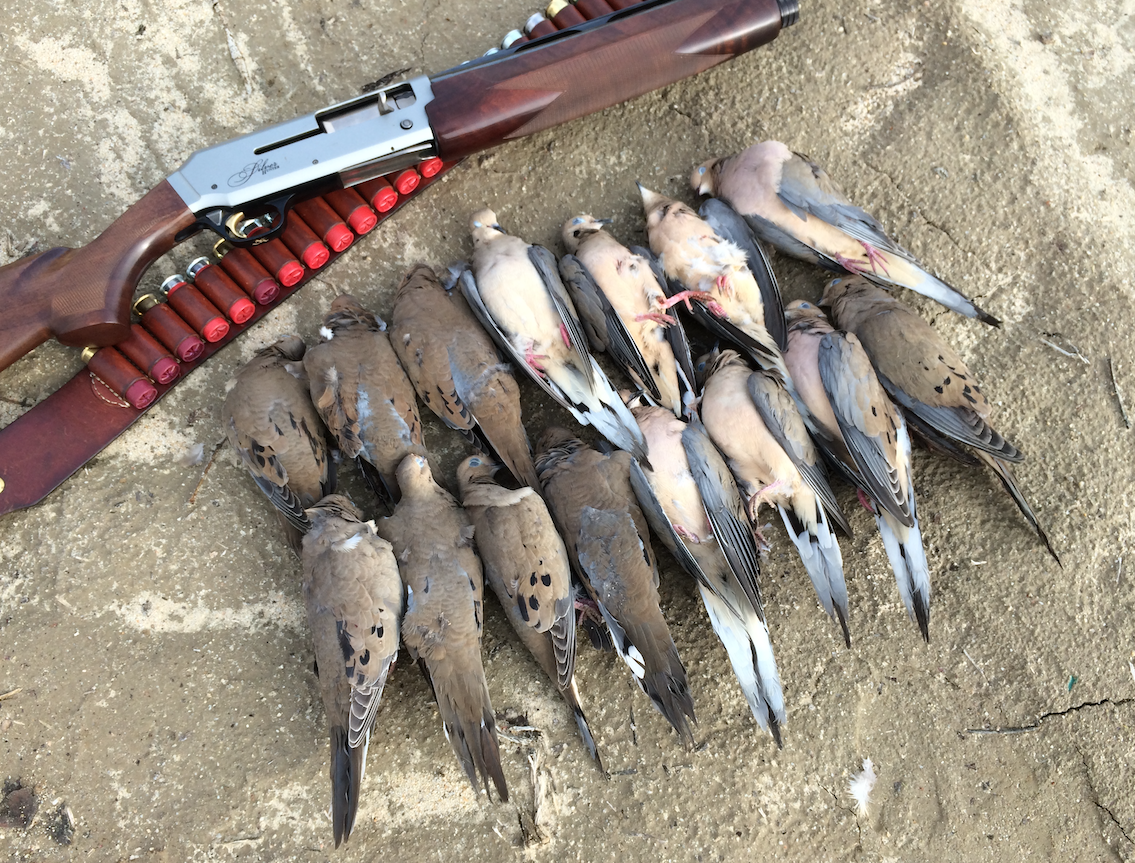 Hunting 5 upland birds to target in California Western Outdoor News