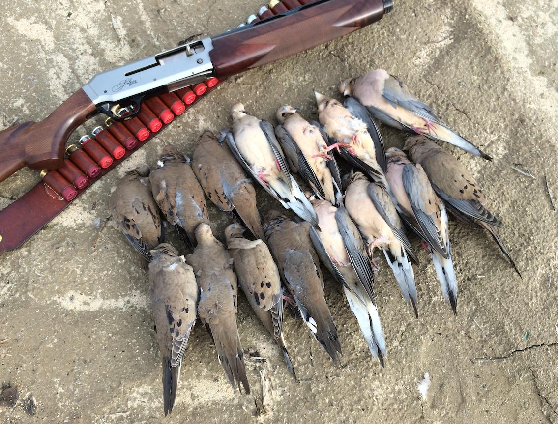 california crow hunting