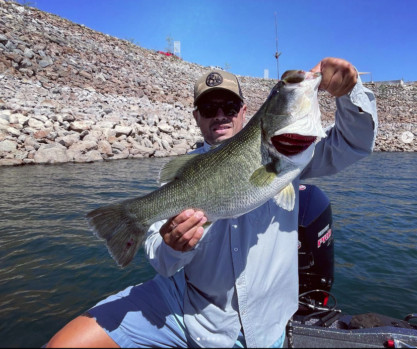 Glidebait Fishing with Bluegill Imitators 