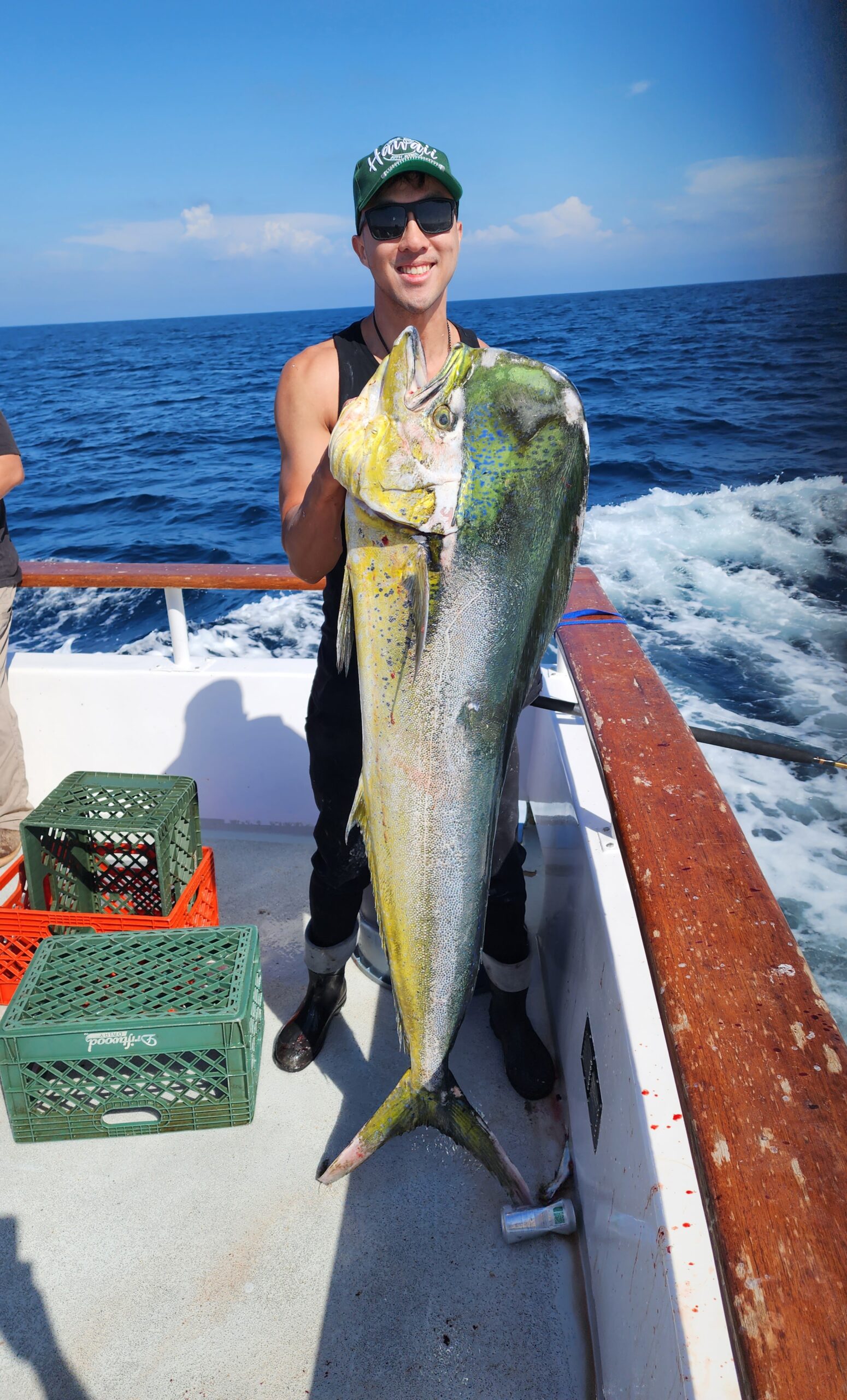 pound mahi mahi