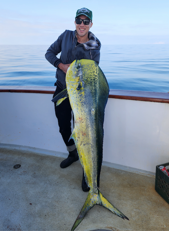 pound mahi mahi