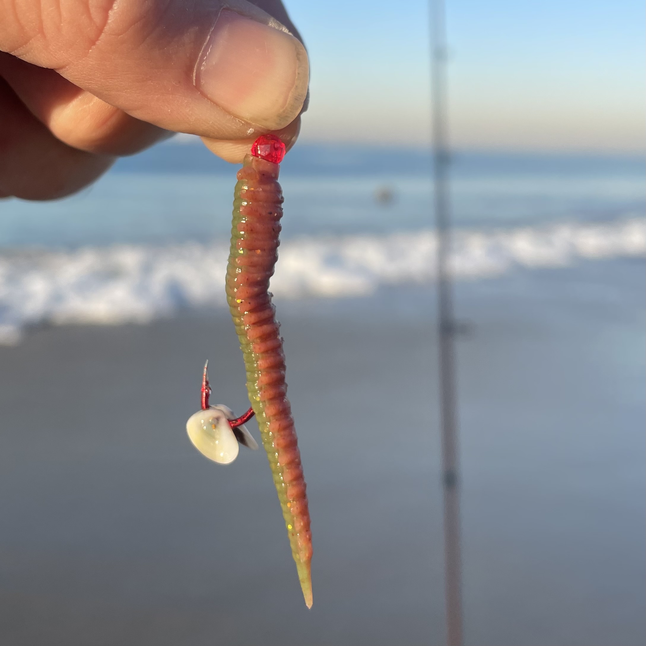 Fishing with Clam Worms as Bait