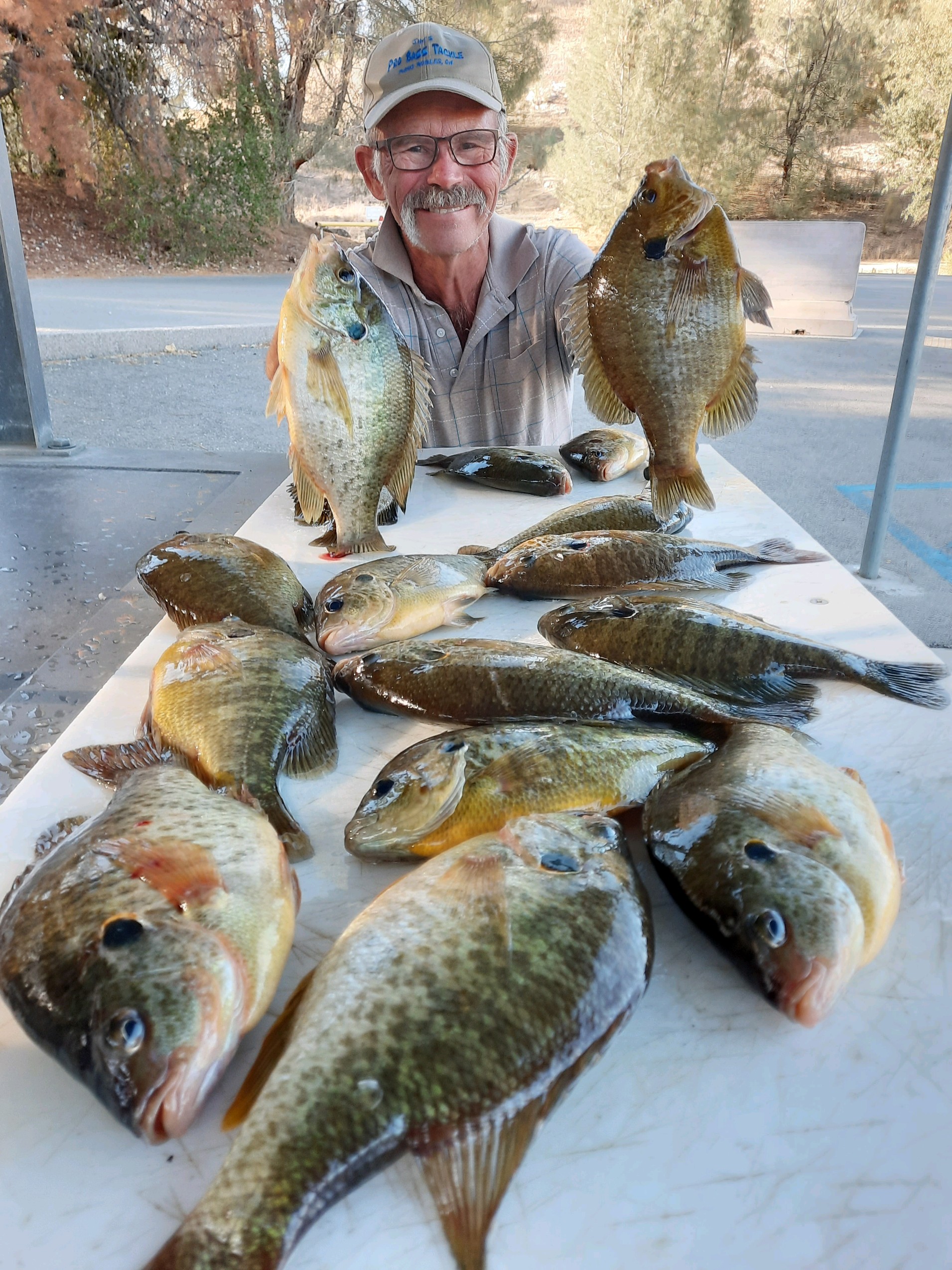 Santa Margarita Lake Fish Report - Santa Margarita Lake - Santa