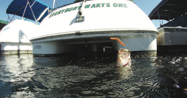 Bass Fishing – Targeting finicky, cold water Largemouth