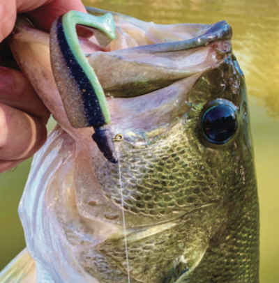 Bass Fishing – Targeting finicky, cold water Largemouth