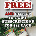Holiday-Special-300×600