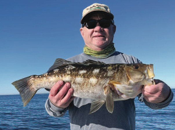 Saltwater – How to catch lots of big saltwater bass in winter