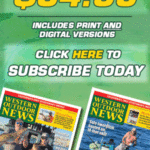 2023-pricing-330×600-LESS-FRAMES