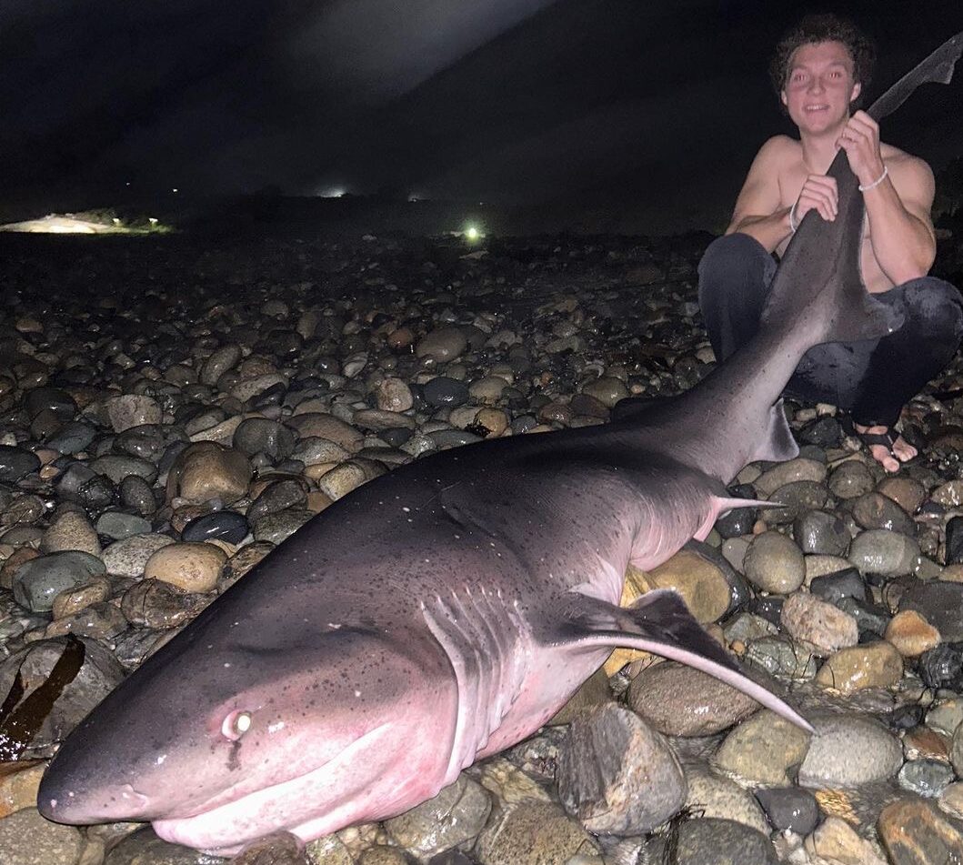 Shark fishing – Angler scores record-shaking shark from SoCal