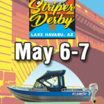Striper-Derby-300×600