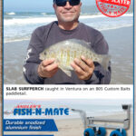 surf-slayer-for-story
