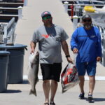 BIG FISH OF THE DERBY