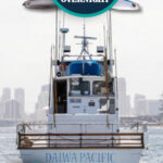 Daiwa Pacific 300×600