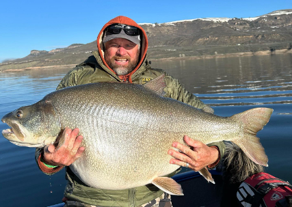 Colorado angler catches pending world-record lake trout | Western ...