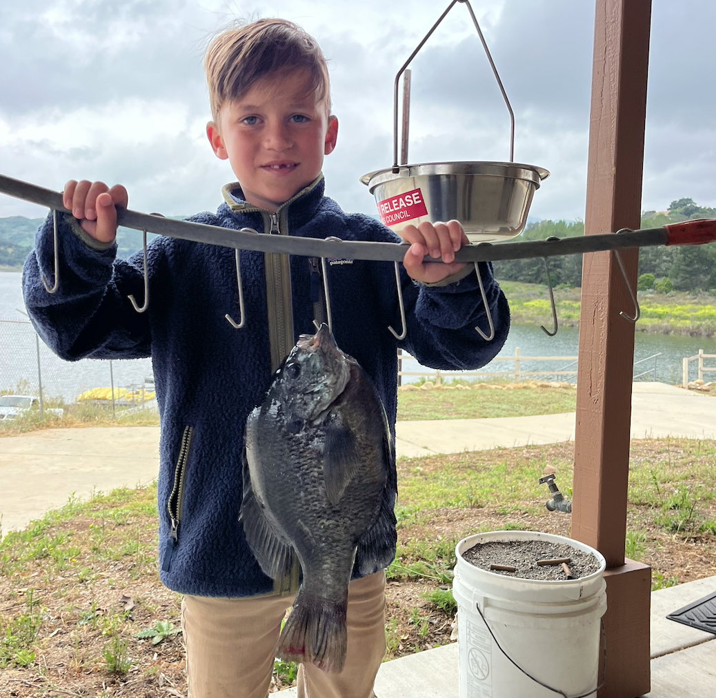 Possible record bluegill bagged by 7-year-old angler at Casitas