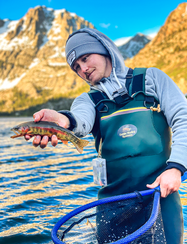 Big Sierra Trout (Fishing with mini jigs at Lundy Lake) 