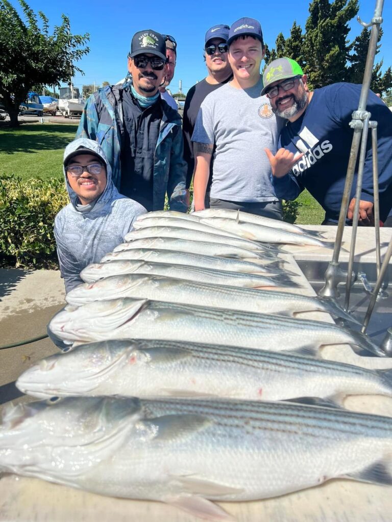 Moving toward prime time for stripers in the Sacramento/San Joaquin Delta –  largemouth bite on the upswing