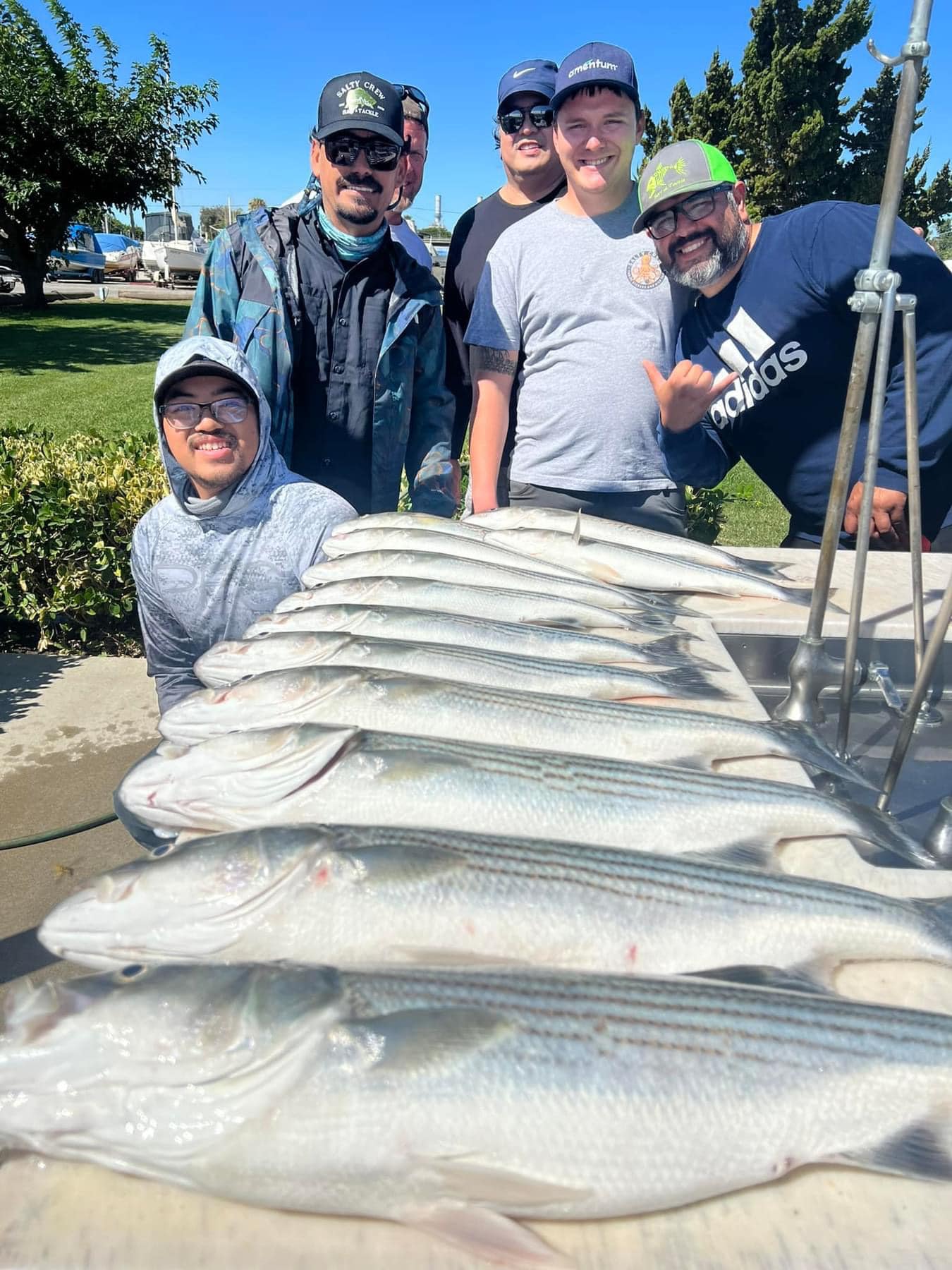 DELTA STRIPERS ON GLIDES  NOW! 