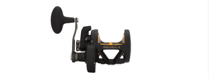 NEW PENN Squall II Lever Drag Reel and Combo