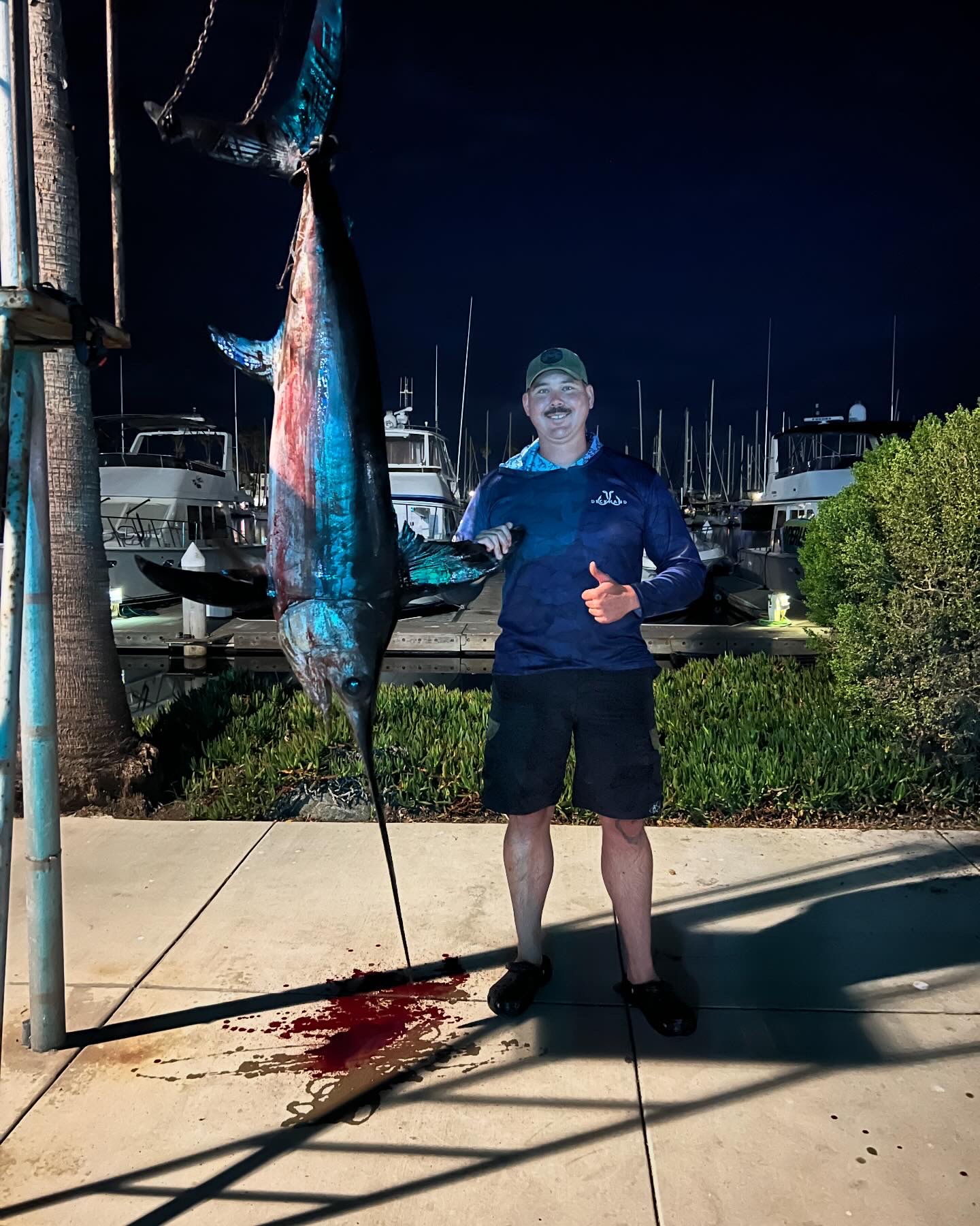 Angler nabs swordfish from an inflatable…for the second time