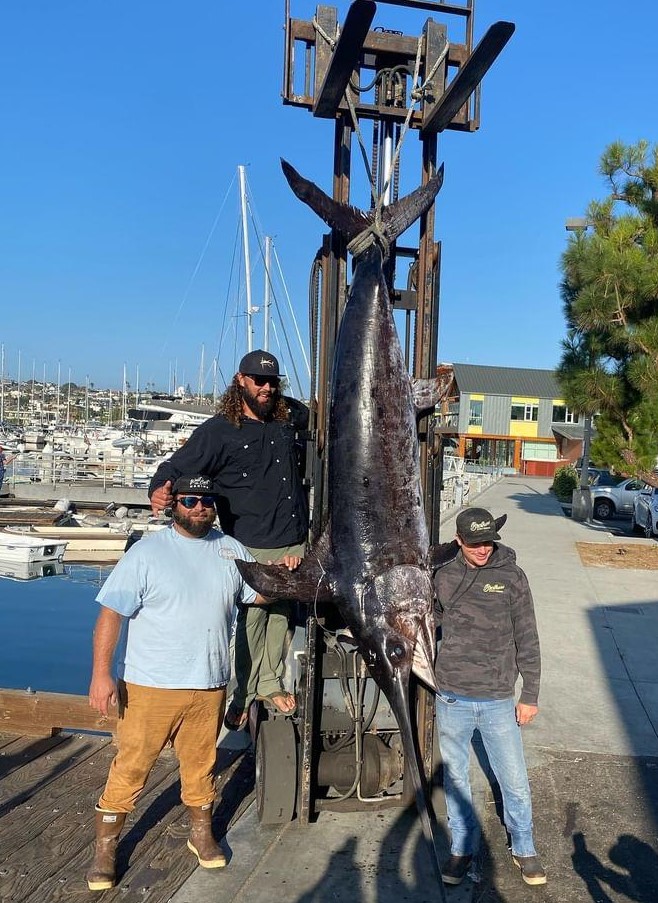 520-pound Broadbill a new California record
