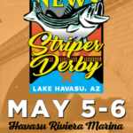 Striper Derby 300 x 600 px